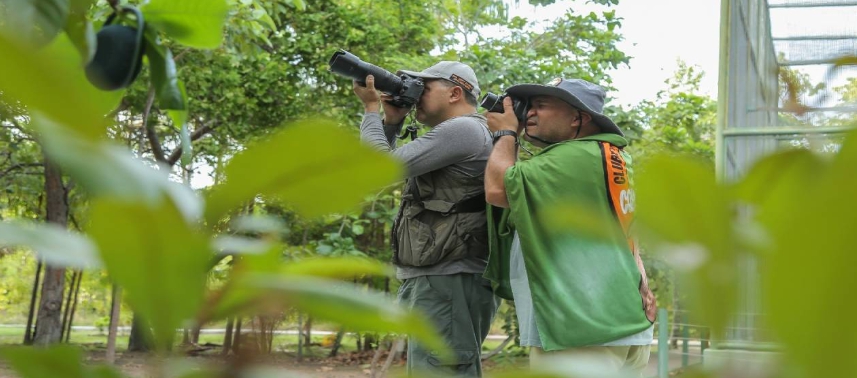Leia mais sobre o artigo OBSERVAÇÃO DE AVES|Lei aprovada pela Assembleia Legislativa ajuda a preservar espécies e a expandir o turismo em Roraima